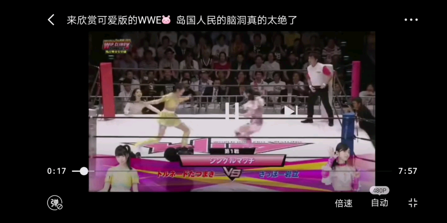 日本女子WWE哔哩哔哩bilibili