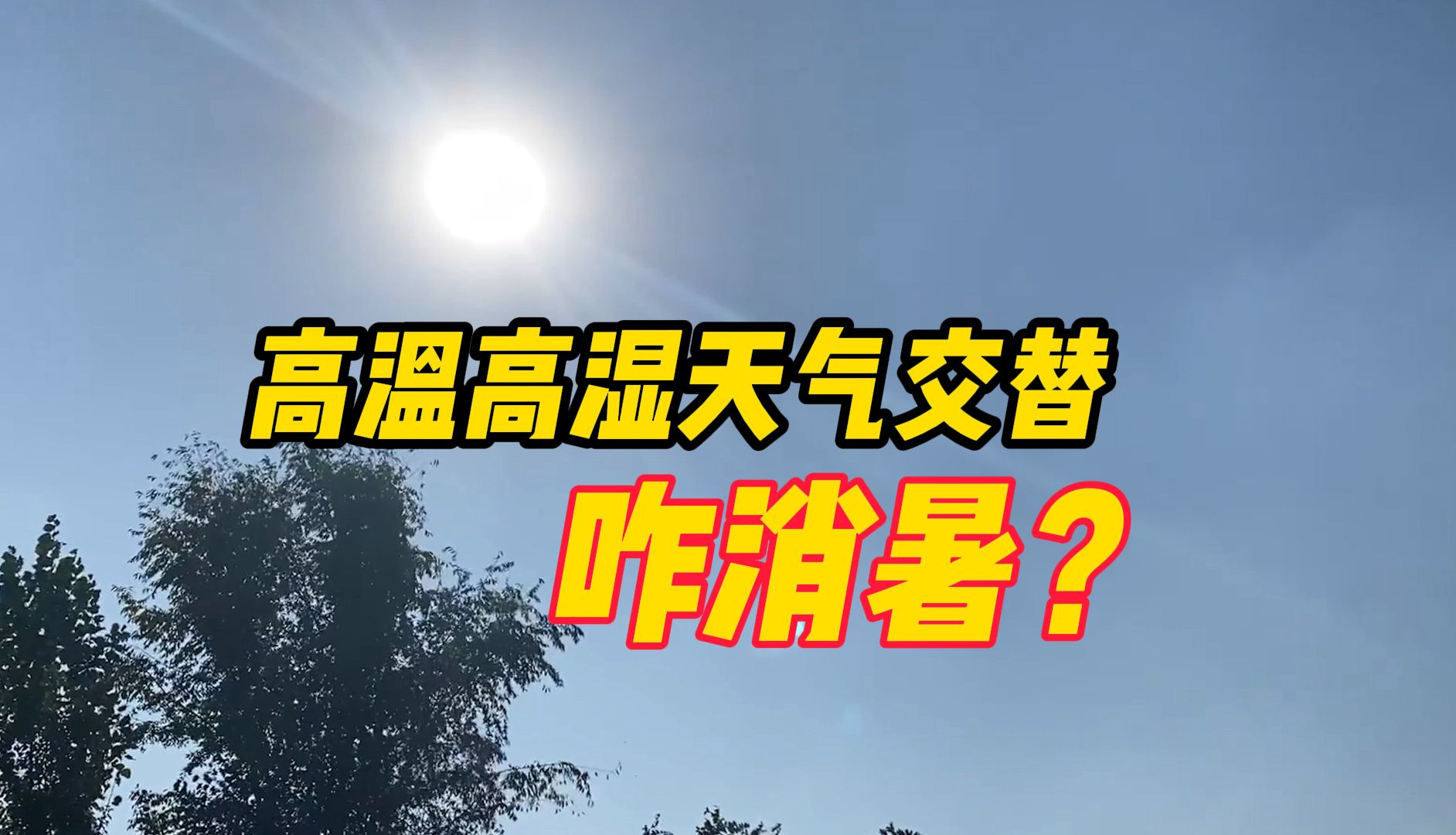 高温高湿天气交替,咋消暑?哔哩哔哩bilibili