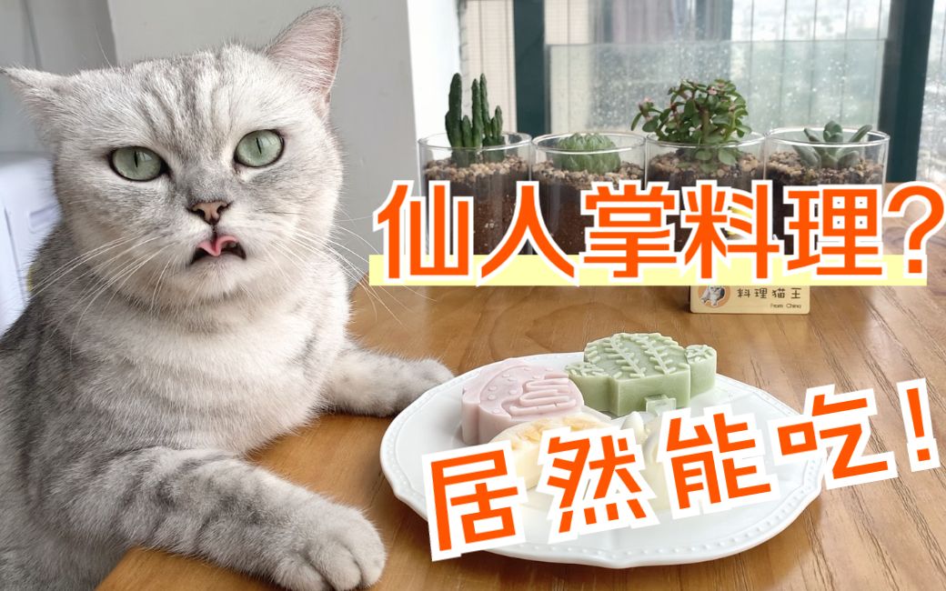 [图]猫王：你们吃过仙人掌吗？