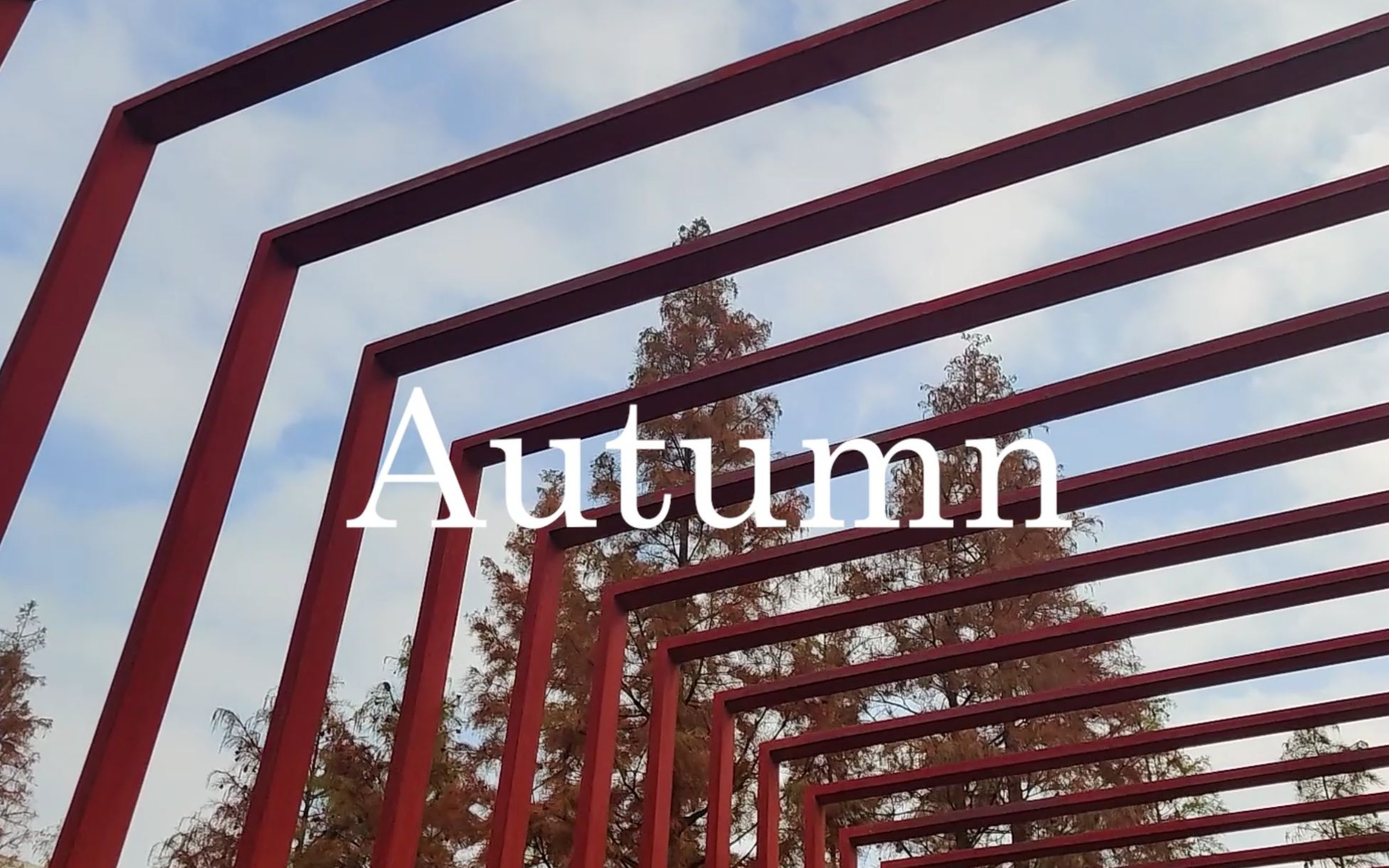 [图]【Vlog】秋·Autumn