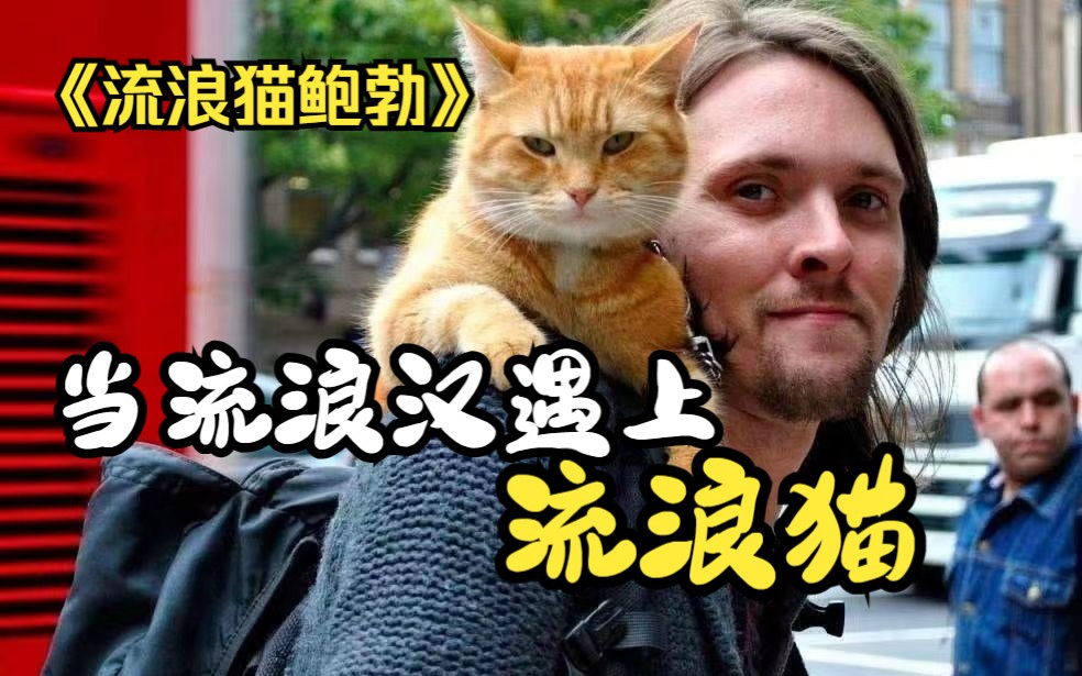 [图]流浪猫鲍勃 真实故事改编！流浪汉和流浪猫，两个漂泊的同伴相互救赎