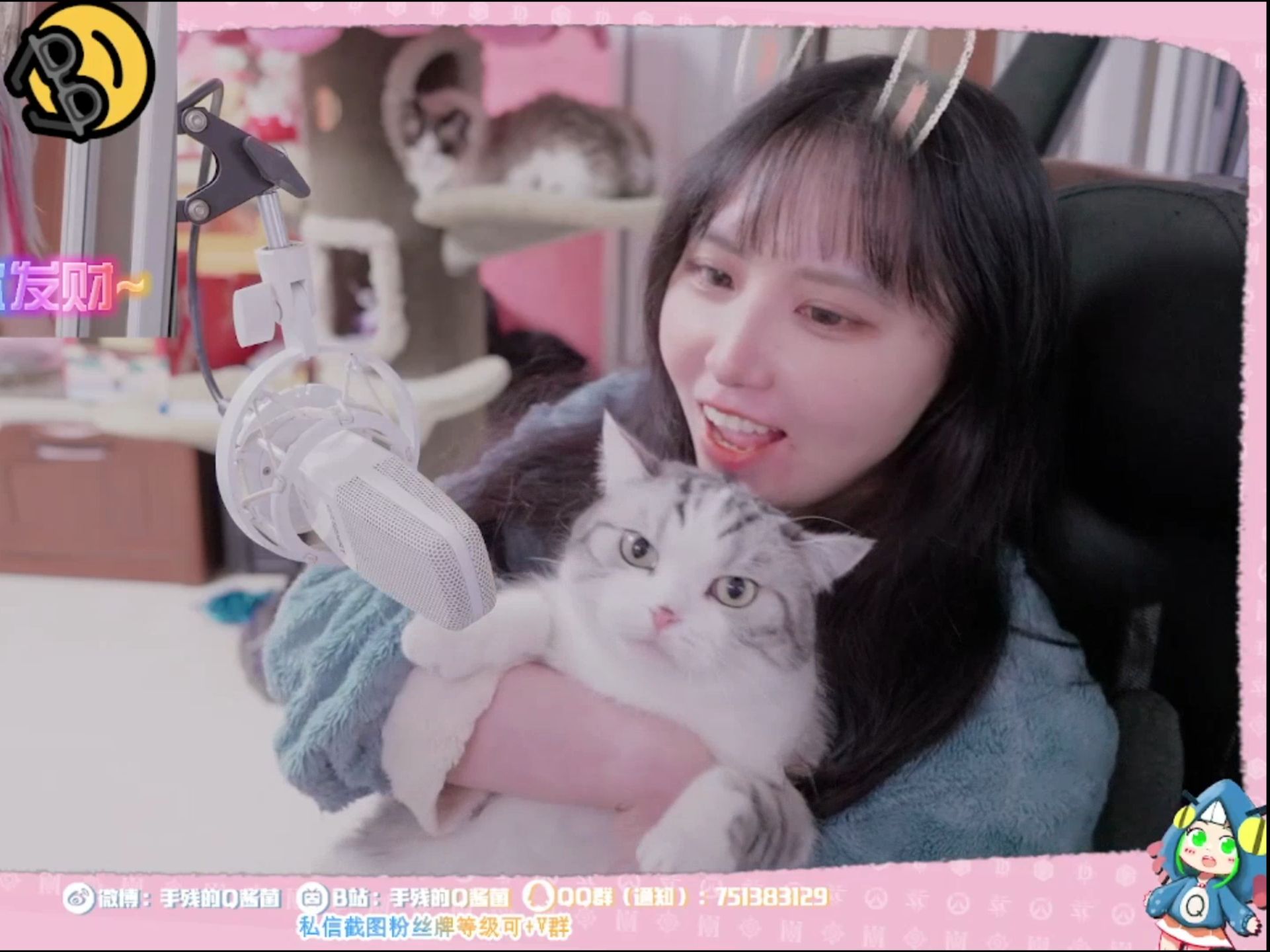 【流程很熟悉】手残的q酱菌2024/3/8日常撸猫