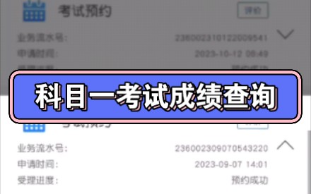 19秒!告诉你科目一考试成绩查询哔哩哔哩bilibili