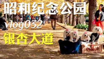 四季混剪 日本之春 东京国立昭和纪念公园的樱花会 哔哩哔哩 Bilibili