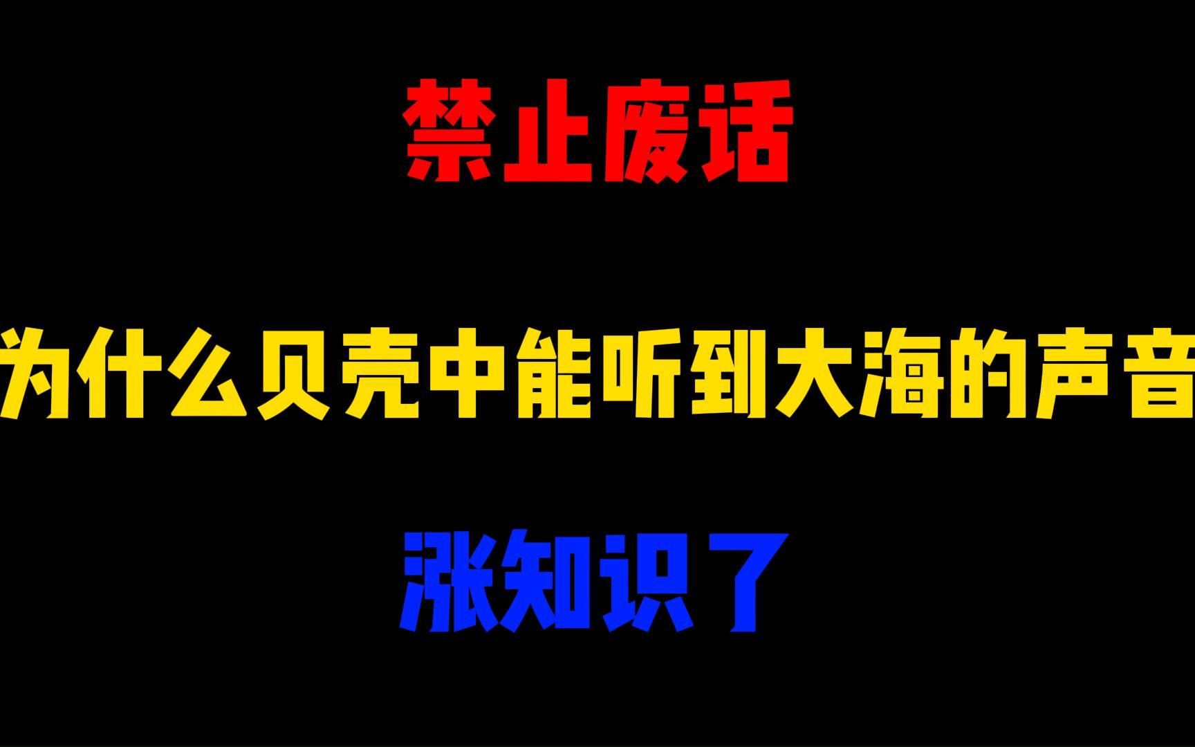 禁止废话:为什么贝壳中能听到大海的声音?涨知识了哔哩哔哩bilibili