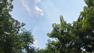 催眠电台 堤契诺之歌 秋天快乐 哔哩哔哩 つロ干杯 Bilibili