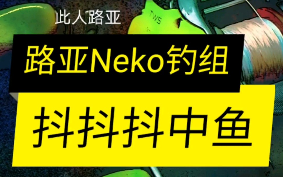 路亚鲈鱼插铅钓组neko抖抖抖_哔哩哔哩 (゜-゜)つロ 干杯~-bilibili