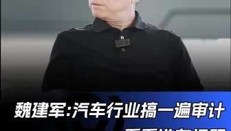 魏建军:汽车行业搞一遍审计,看看谁有问题 审计费长城包了#魏建军#长城汽车