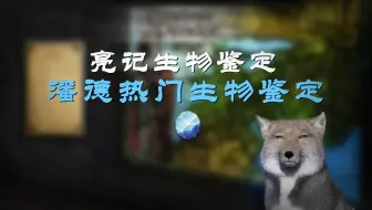 下载视频: 潘德的预言热门生物鉴定