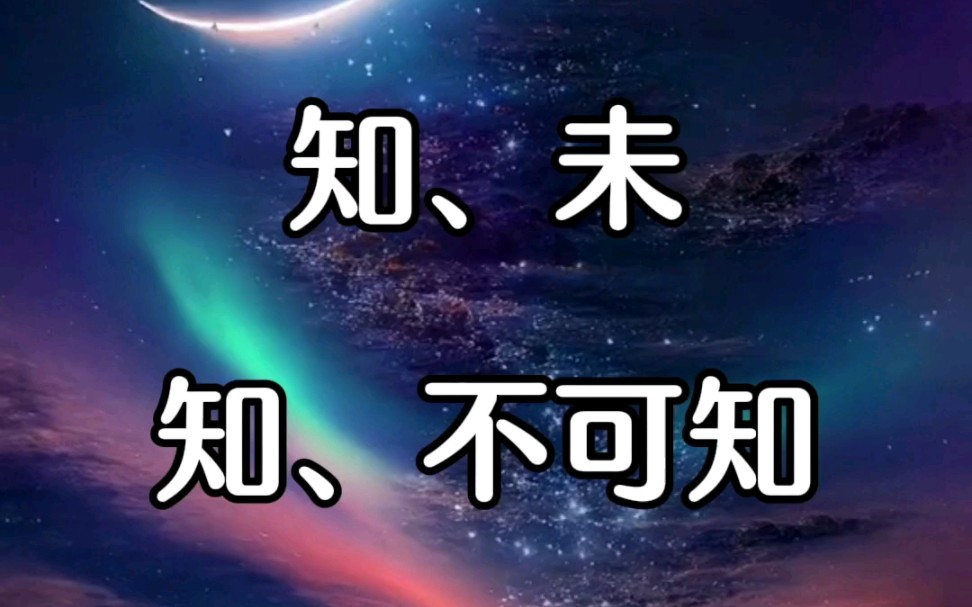 杨定一博士：接受全部的生命——知、未知、不可知。-找回全部的生命-找回全部的生命-哔哩哔哩视频