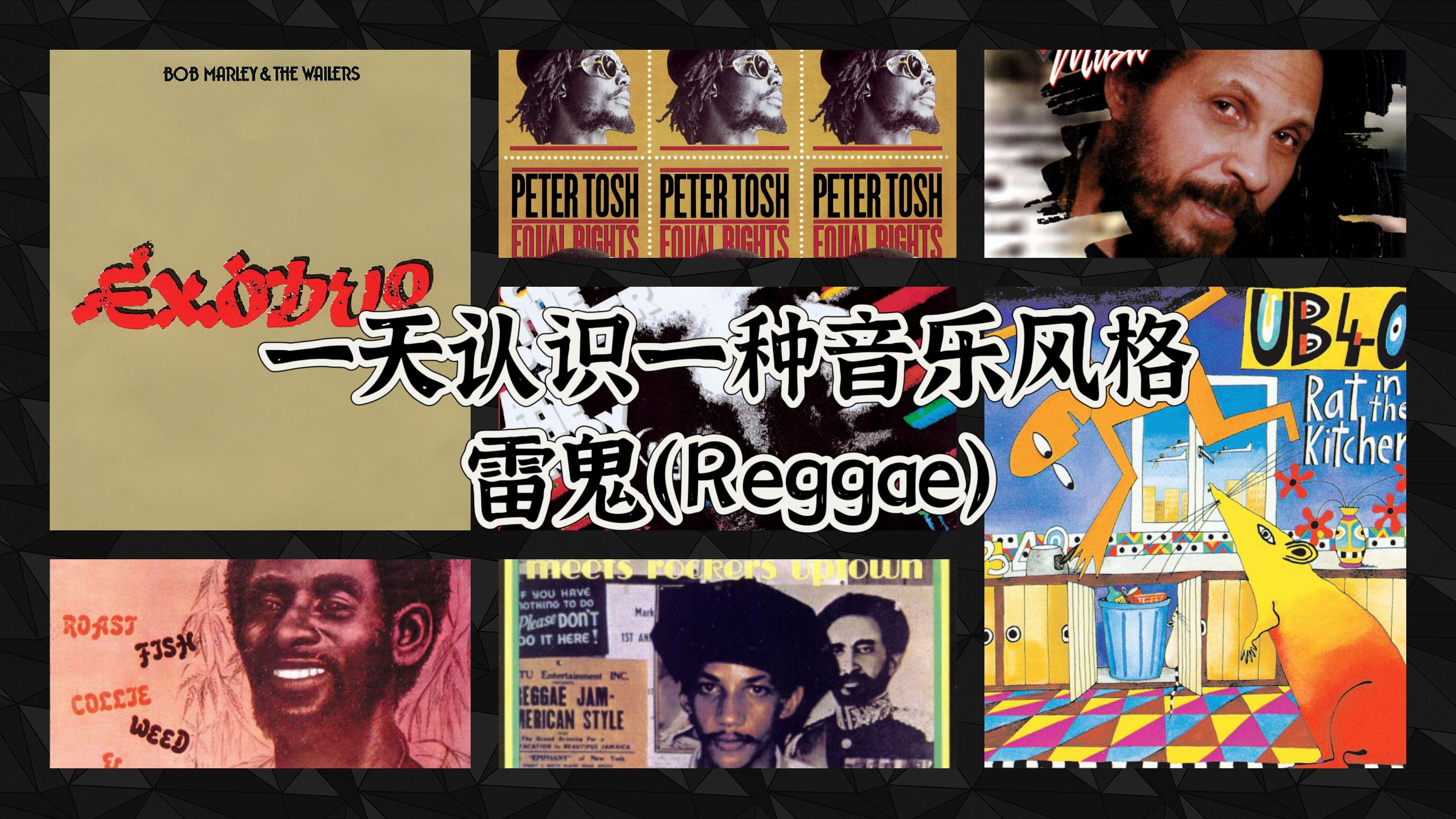 一天认识一种音乐风格  雷鬼(Reggae)哔哩哔哩bilibili