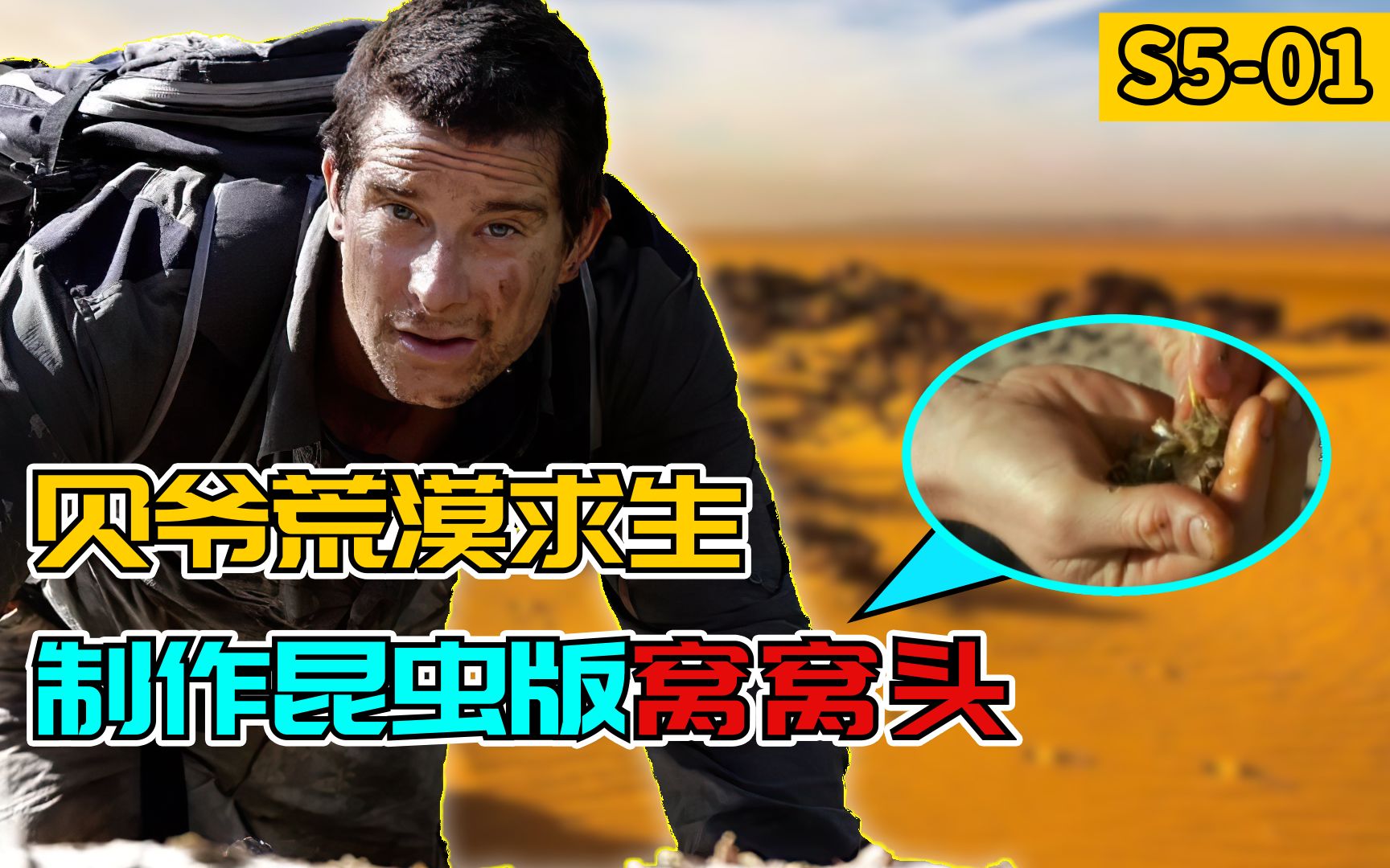 贝爷荒野求生第5季进击撒哈拉吃昆虫窝头吞章鱼差点翻车