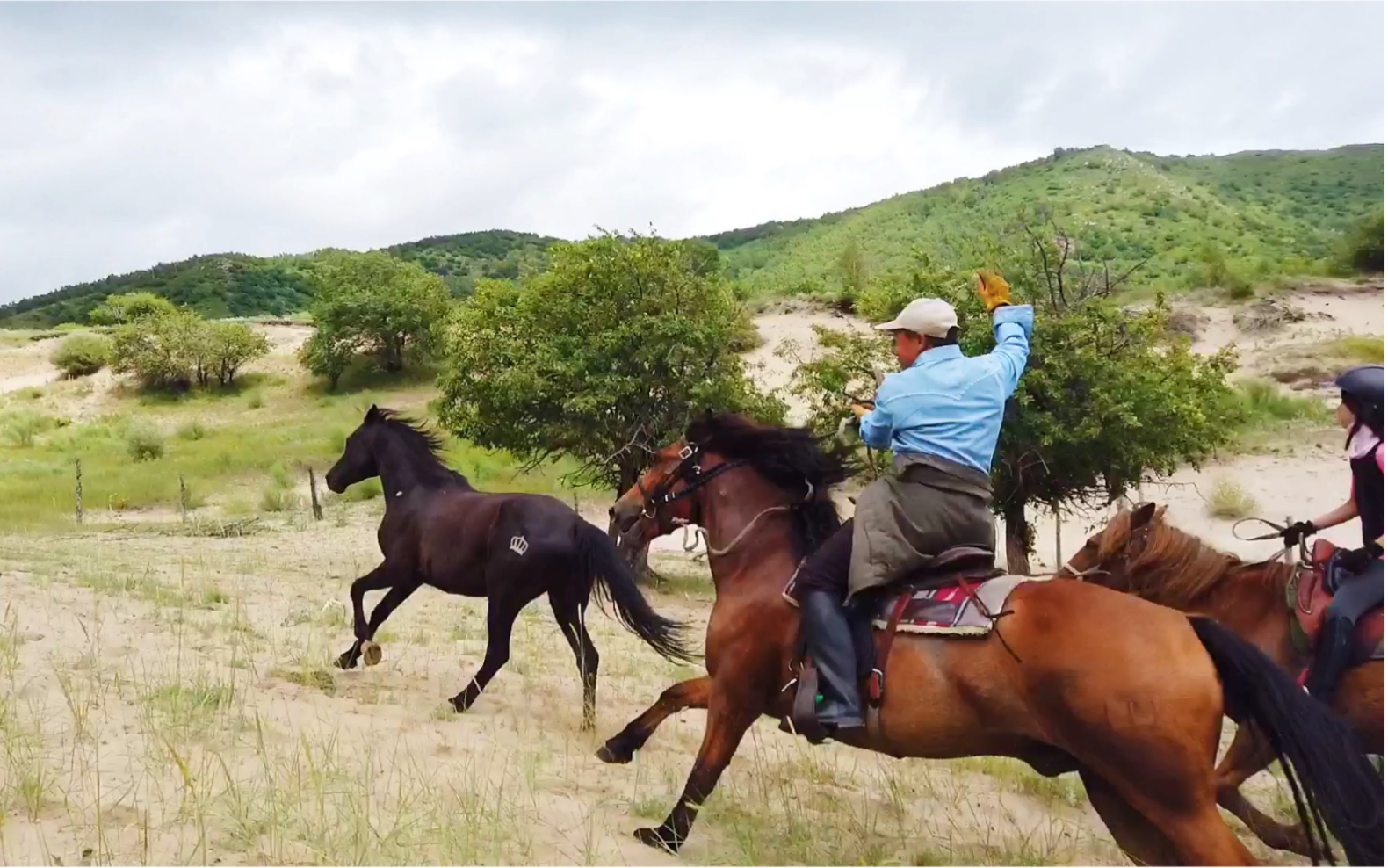 有一匹走马叫"大山字"