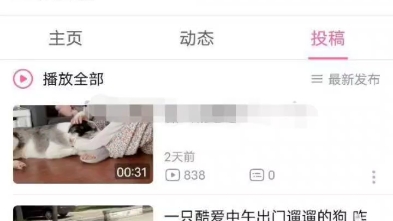 B站 朱朱海马 故意漏胸 低俗!!!哔哩哔哩bilibili