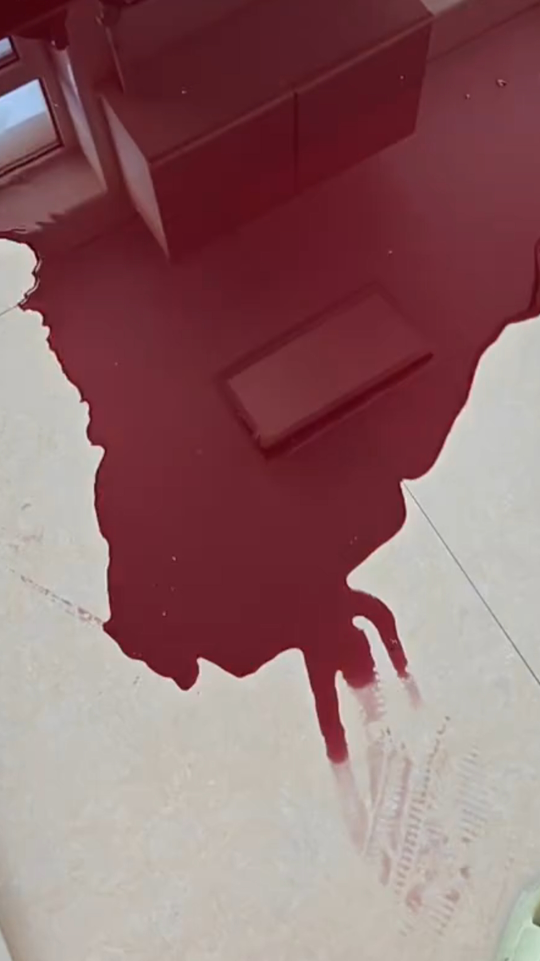 女子自酿葡萄酒玻璃罐意外摔碎,厨房变"案发现场":心疼坏了