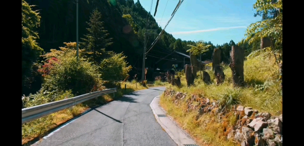 [图]沉浸阅读-竹峰寺-好文欣赏