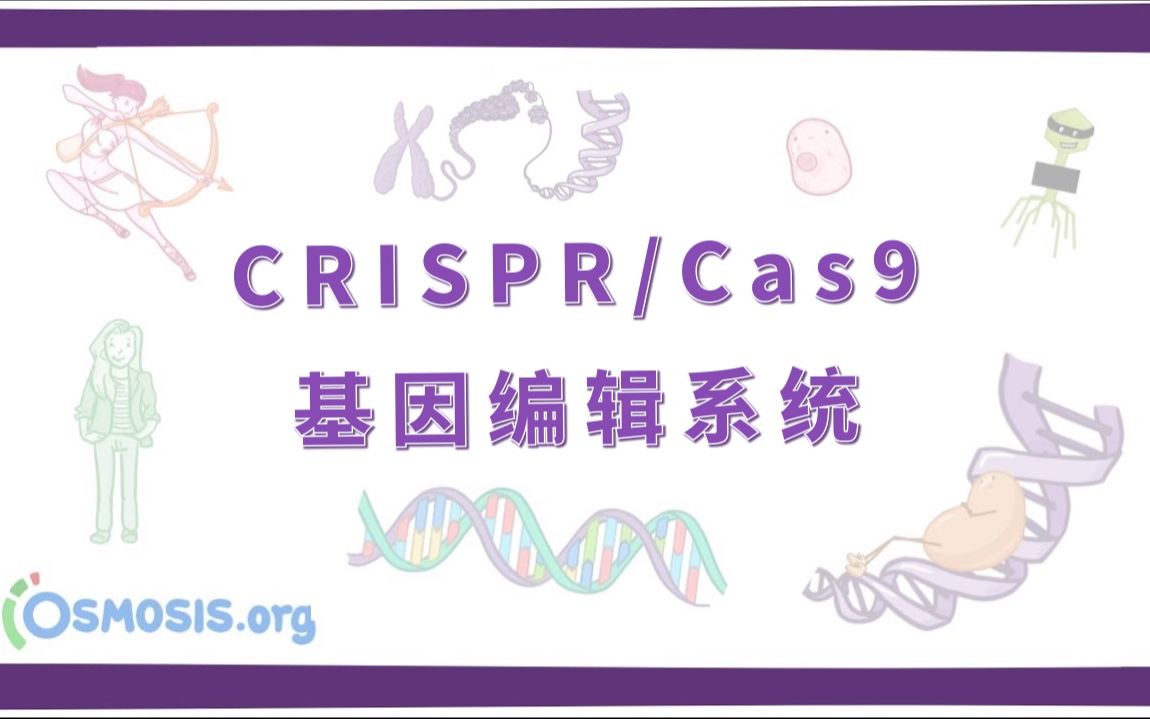 【预习】CRISPR/Cas9 基因编辑系统(中英字幕)哔哩哔哩bilibili