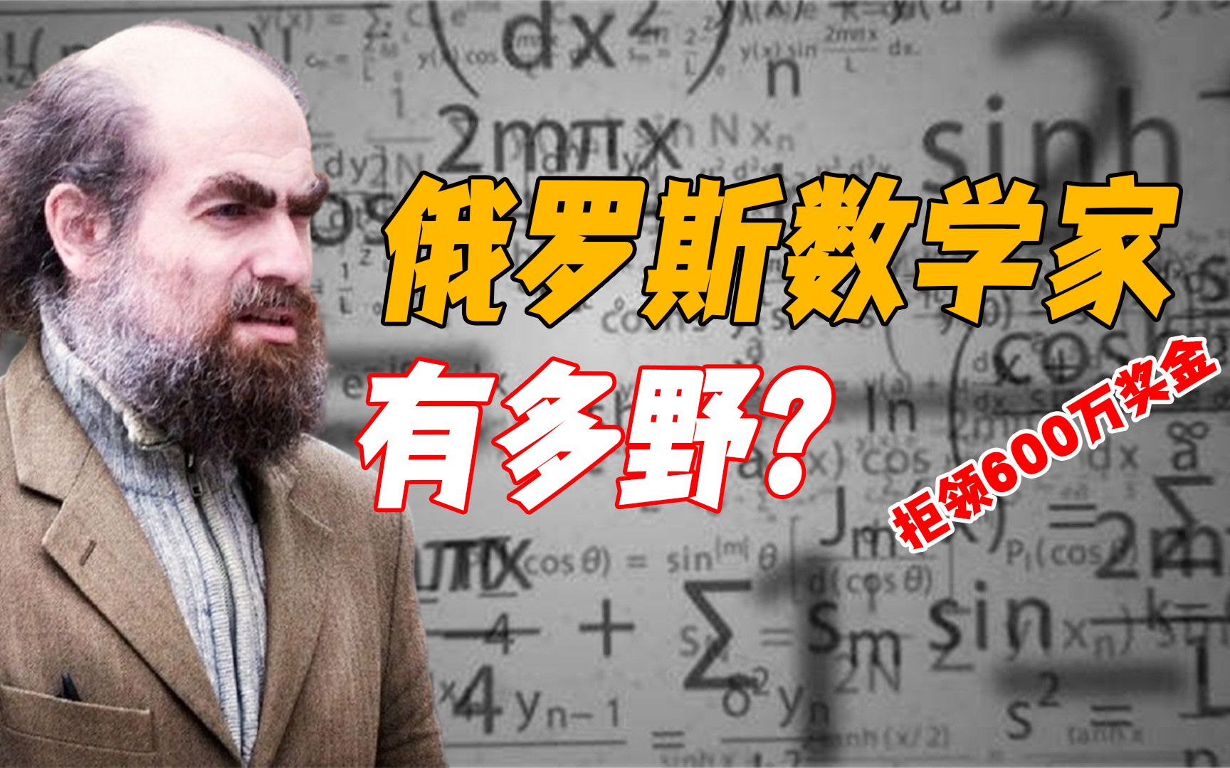 俄罗斯顶级数学家有多野?破解世纪难题,却拒绝领取百万美元奖金哔哩哔哩bilibili