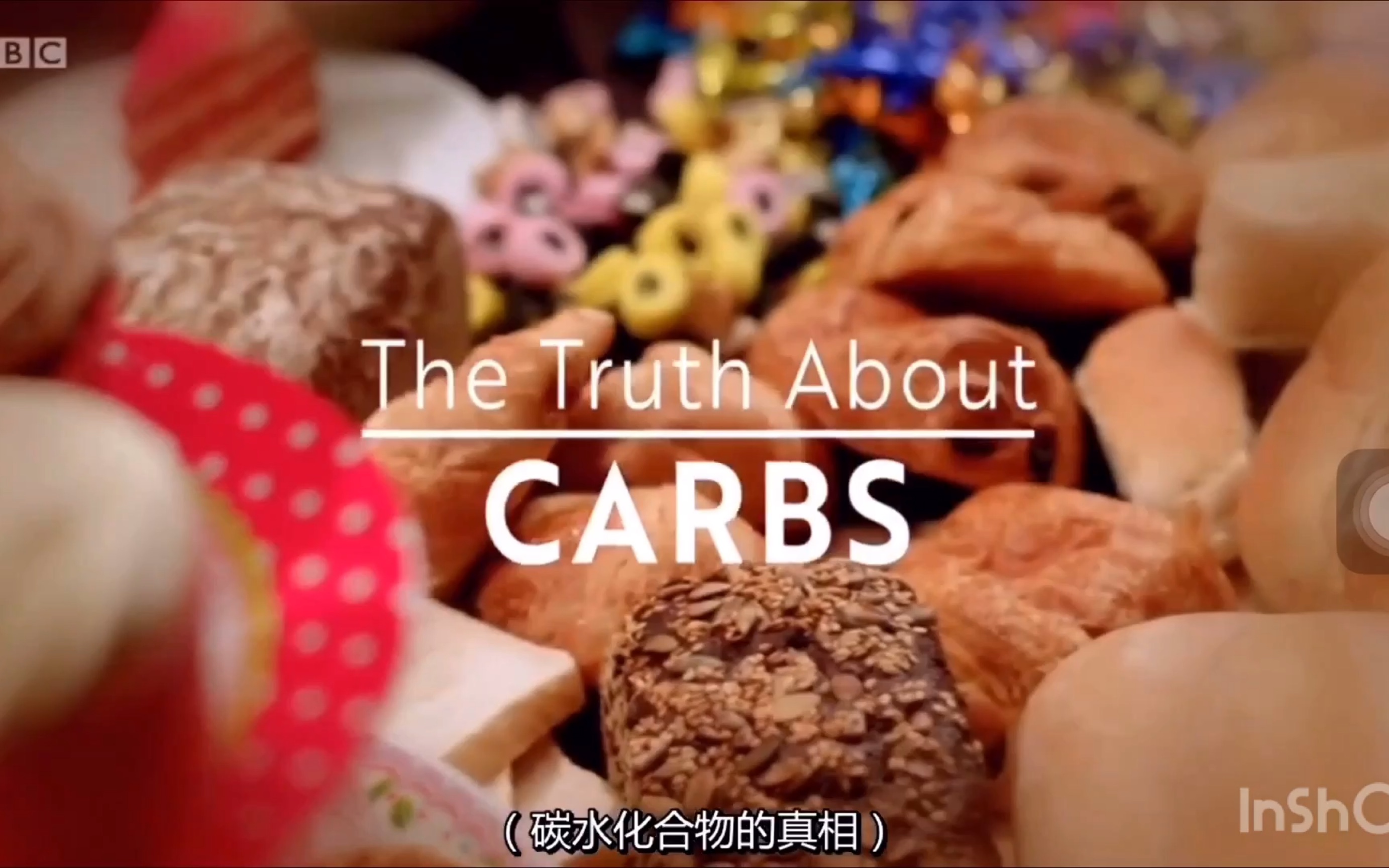 5分钟看懂bbc纪录片碳水化合物的真相上