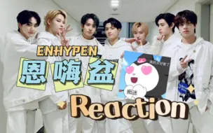 Download Video: 【Reaction ENHYPEN认人向】我嘞个豆！up主直接成为恩静