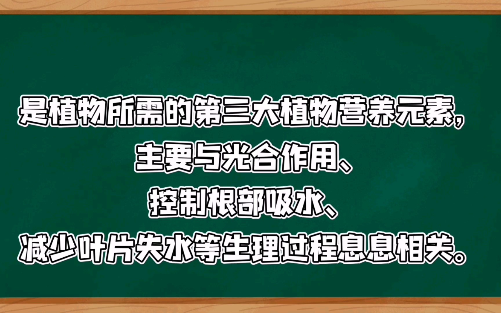 【养花】月季养花种植知识点 钾肥的作用哔哩哔哩bilibili