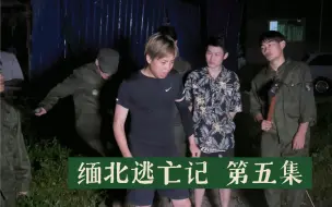 Download Video: 缅北逃亡记 第五集