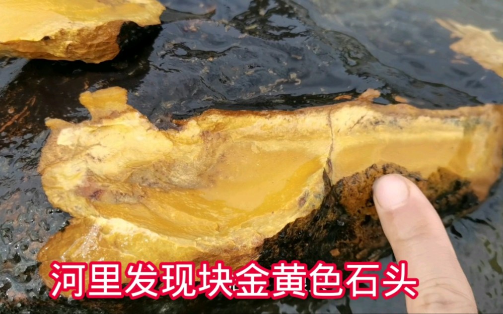 河里发现块金黄色石头,足足有80斤发财了,赶紧搬回家