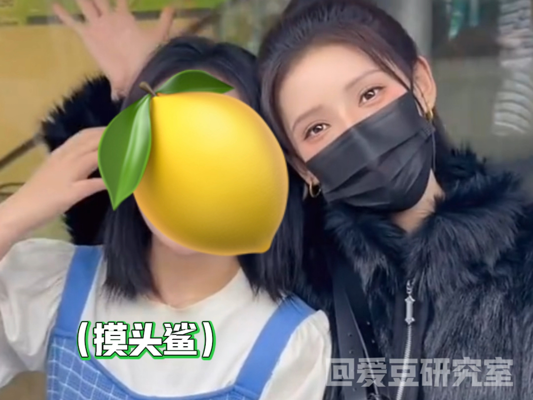 天杀的,张予曦对粉丝真就好到没边了