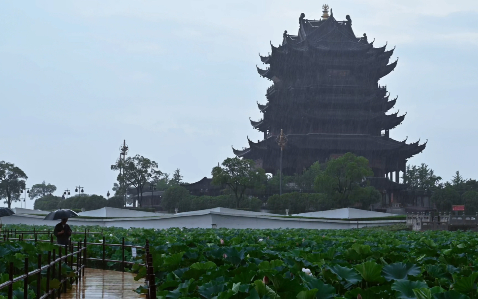 雨中的苏州重元寺才是真正的水天佛国哔哩哔哩bilibili