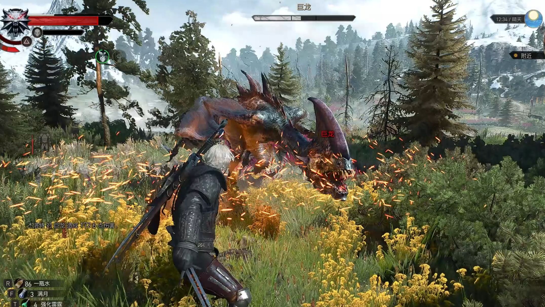 【4k】【boss战合集】《巫师3 狂猎》委托:巨龙/叉尾龙