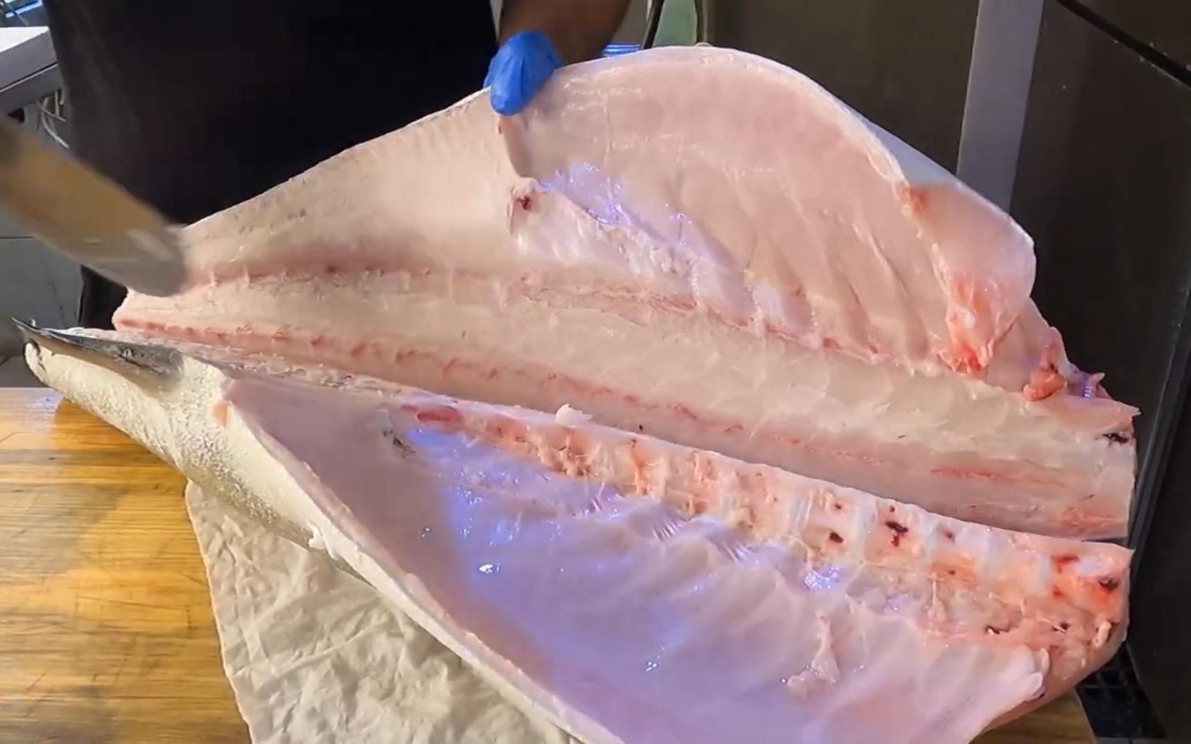 军曹鱼切割处理,肉质洁白细腻