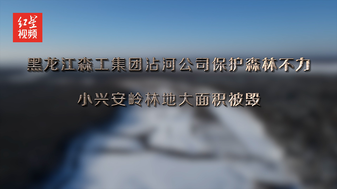 黑龙江森工集团沾河公司保护森林不力 小兴安岭林地大面积被毁哔哩哔哩bilibili