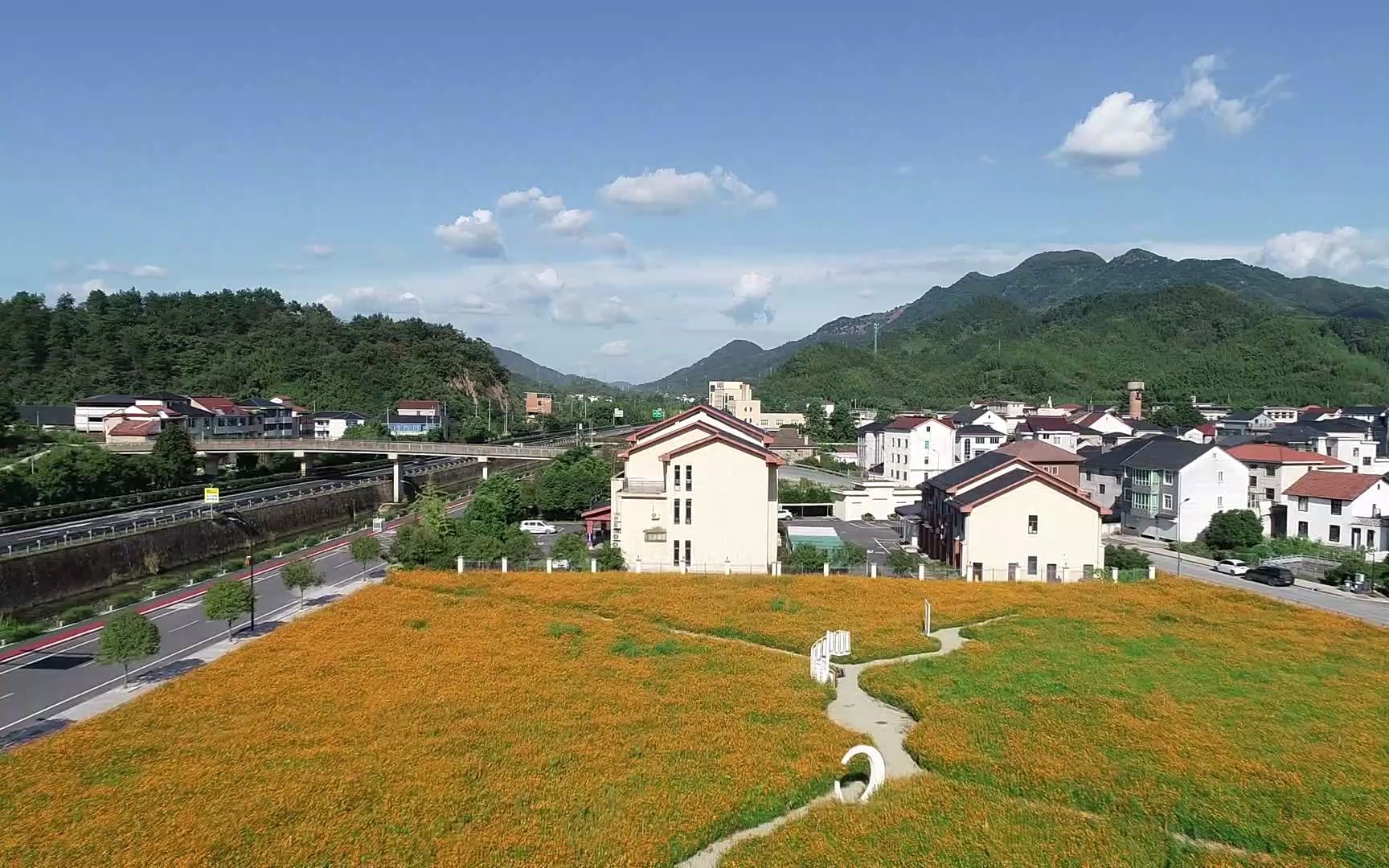 临安:天目山镇藻溪花海