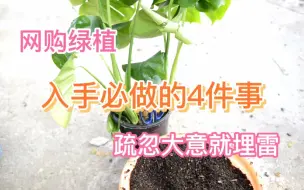 Download Video: 网购绿植后必做的4件事