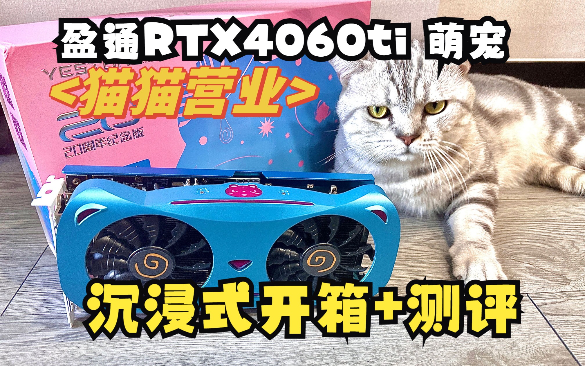 内含彩蛋 | 小小年纪就来盈通上班了?盈通RTX4060Ti8G D6萌宠沉浸式开箱+测评!哔哩哔哩bilibili