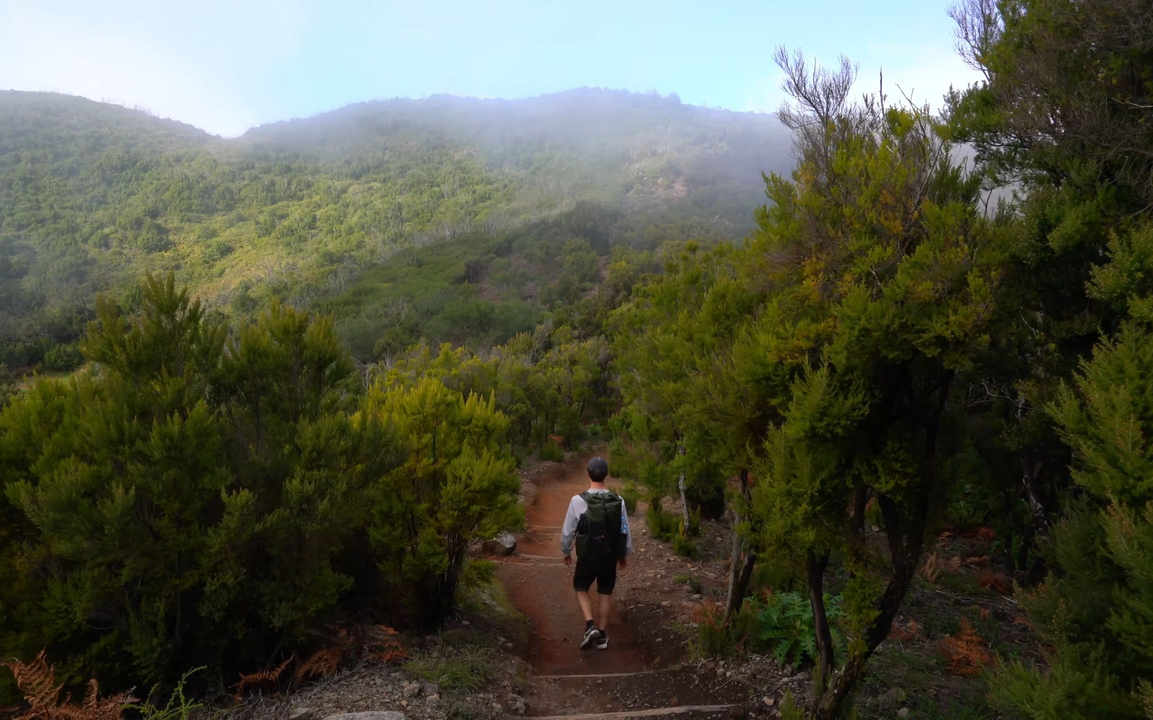 【单人徒步——戈梅拉岛80公里徒步】西班牙加那利群岛 Silent Hiking La Gomera (Canary Islands)哔哩哔哩bilibili