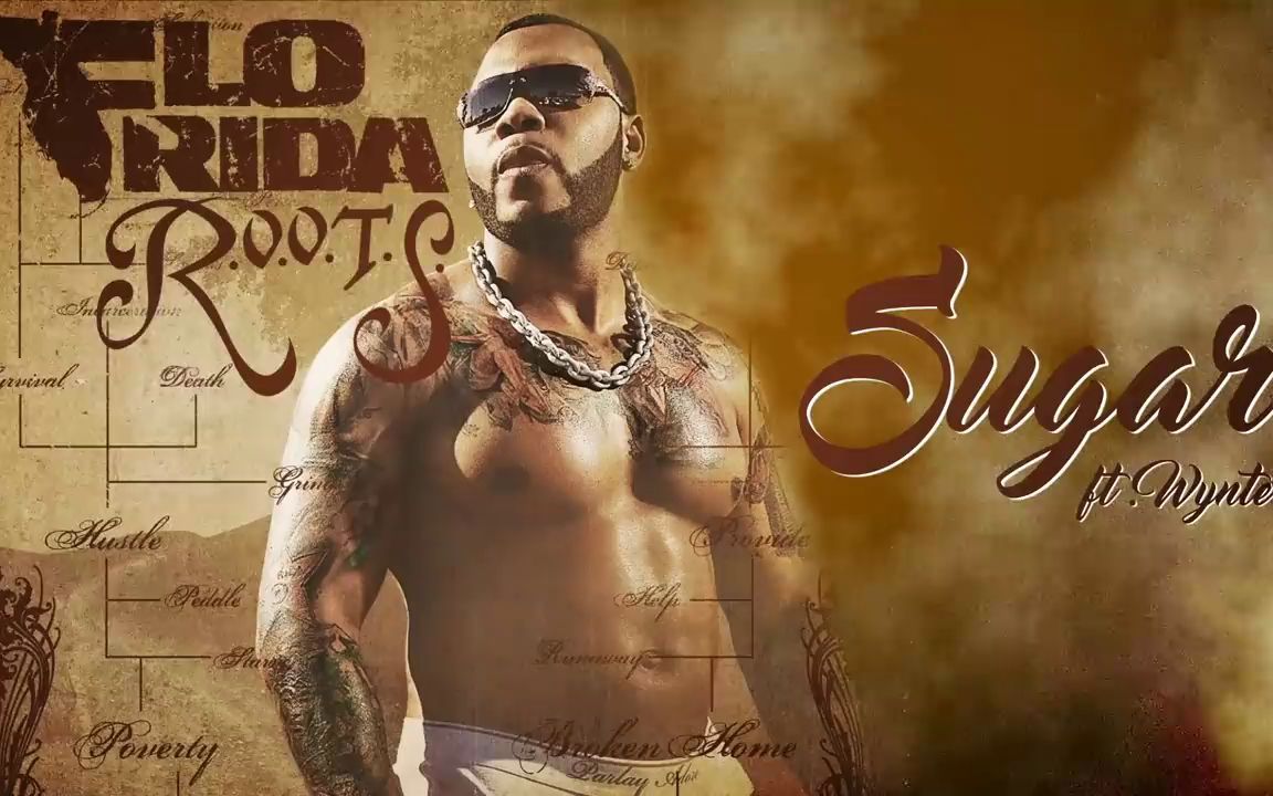 [图]【音乐】Flo Rida - Sugar 纯享 版