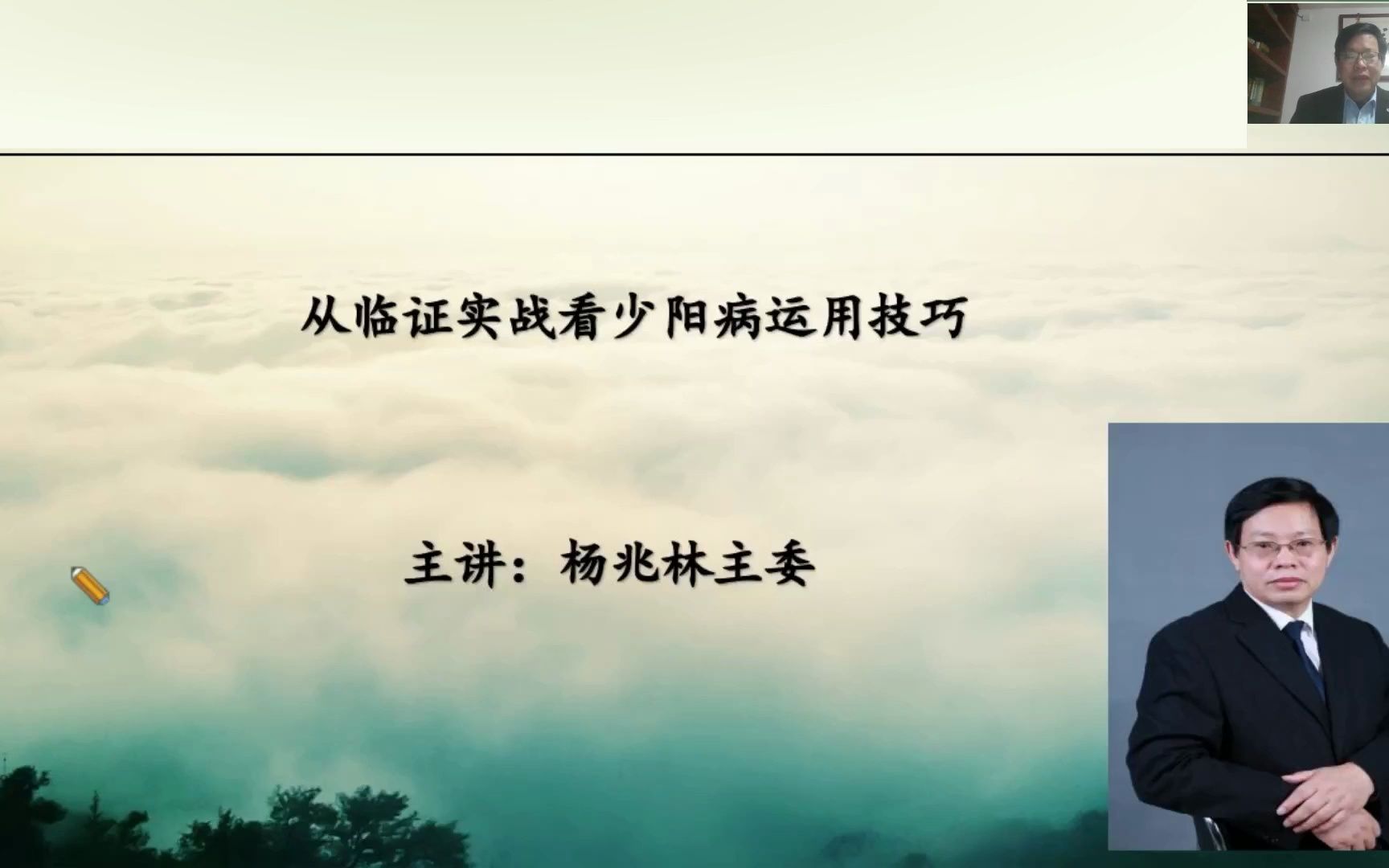 从临证实战看 少阳病运用技巧——杨兆林主委经验分享哔哩哔哩bilibili