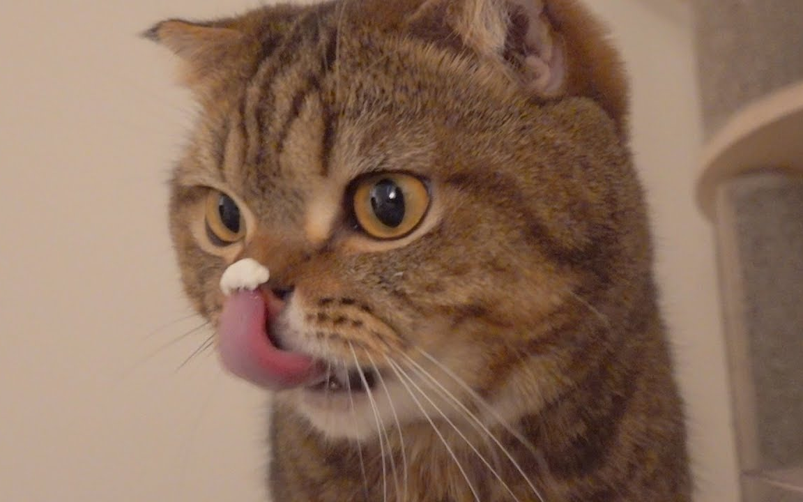 【creamheroes】【中字】lulu鼻子上有奶油,但是他舔不到