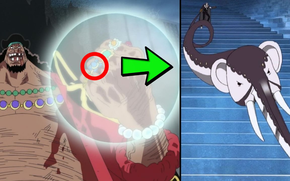 【海贼王】吃下震震果实的不是黑胡子 是黑胡子的戒指 顶上战争