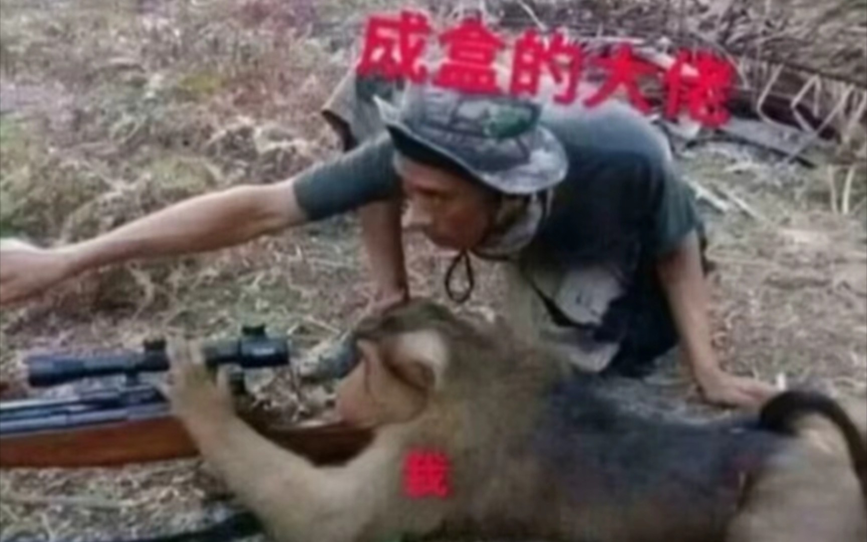 【沙雕梗图】人间真实系列(48)