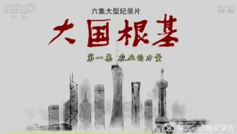 央视大型纪录片《大国根基 The Power of Agriculture》全6集 汉语中字 720P高清纪录片