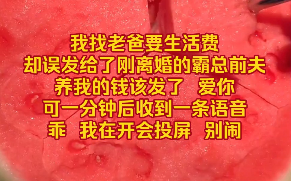 [图]《回归心尖》——我找老爸要生活费，却误发给了刚离婚的霸总前夫，养我的钱该发了，爱你，可一分钟后就收到一条语音，乖，我在开会投屏，别闹我，声音低沉又宠溺……