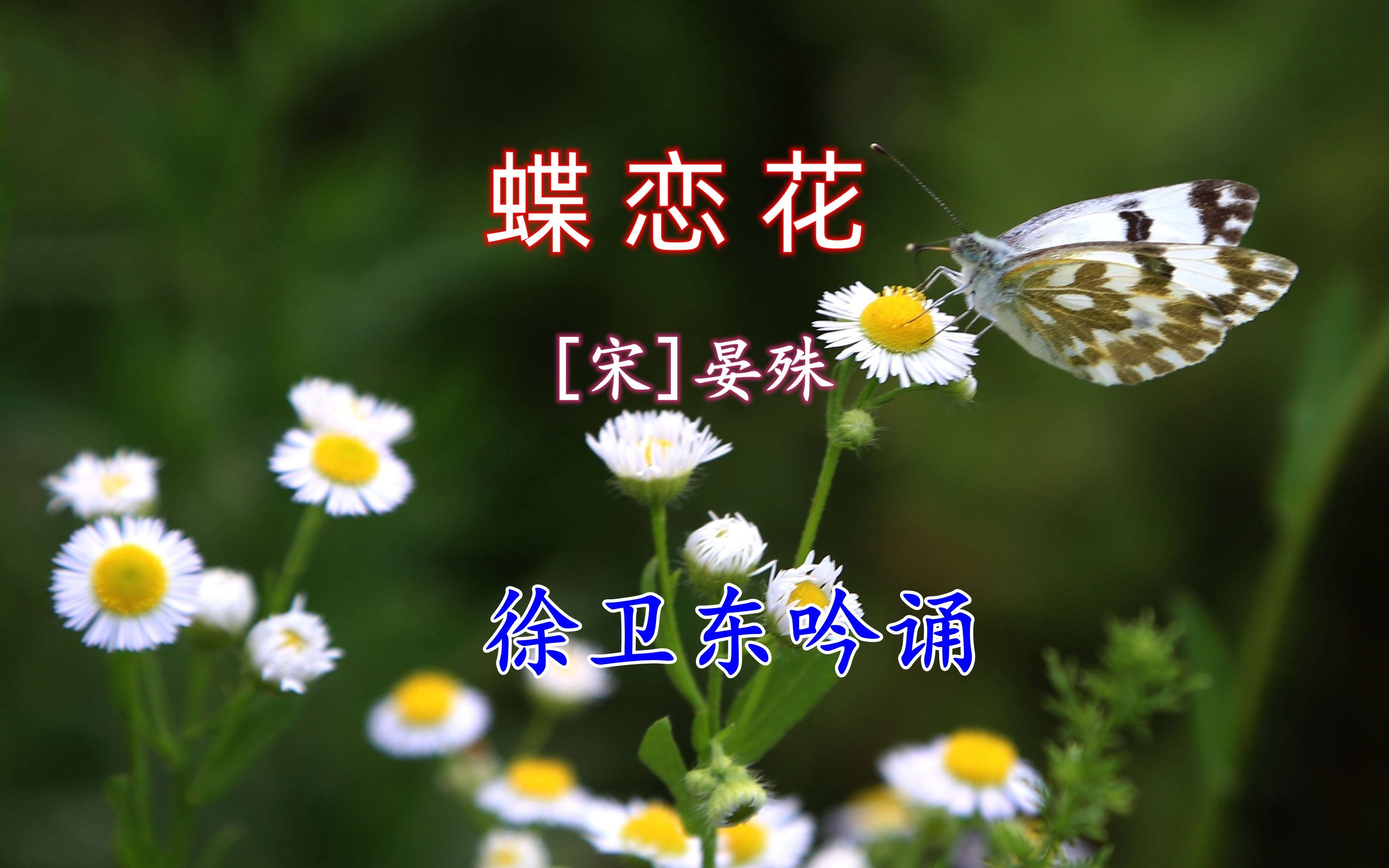 [图]《蝶恋花》（晏殊），徐卫东教授吟诵，好听好看又好学