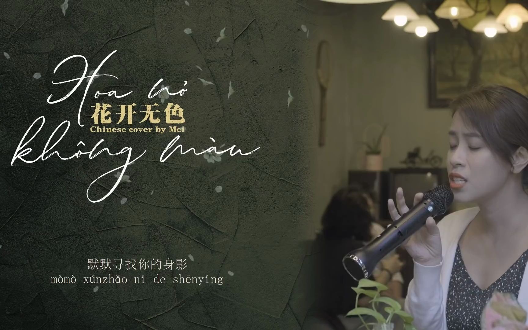 [图]HOA NỞ KHÔNG MÀU - HOÀI LÂM - 《花开无色》- 中文 COVER - HOÀNG MAI（黄梅）