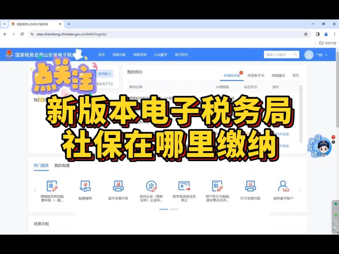 新版本电子税务局社保在哪里缴纳哔哩哔哩bilibili