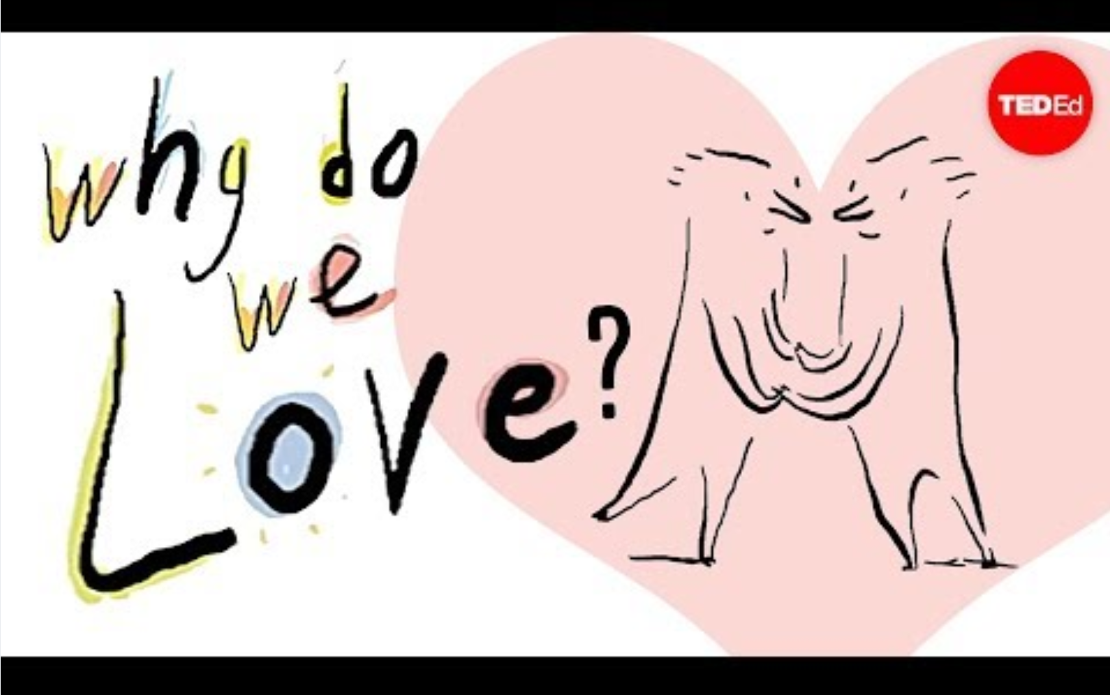 [TEDed] 爱情的哲学探讨——我们为何相爱 (Why do we love?) Skye C. Cleary哔哩哔哩bilibili