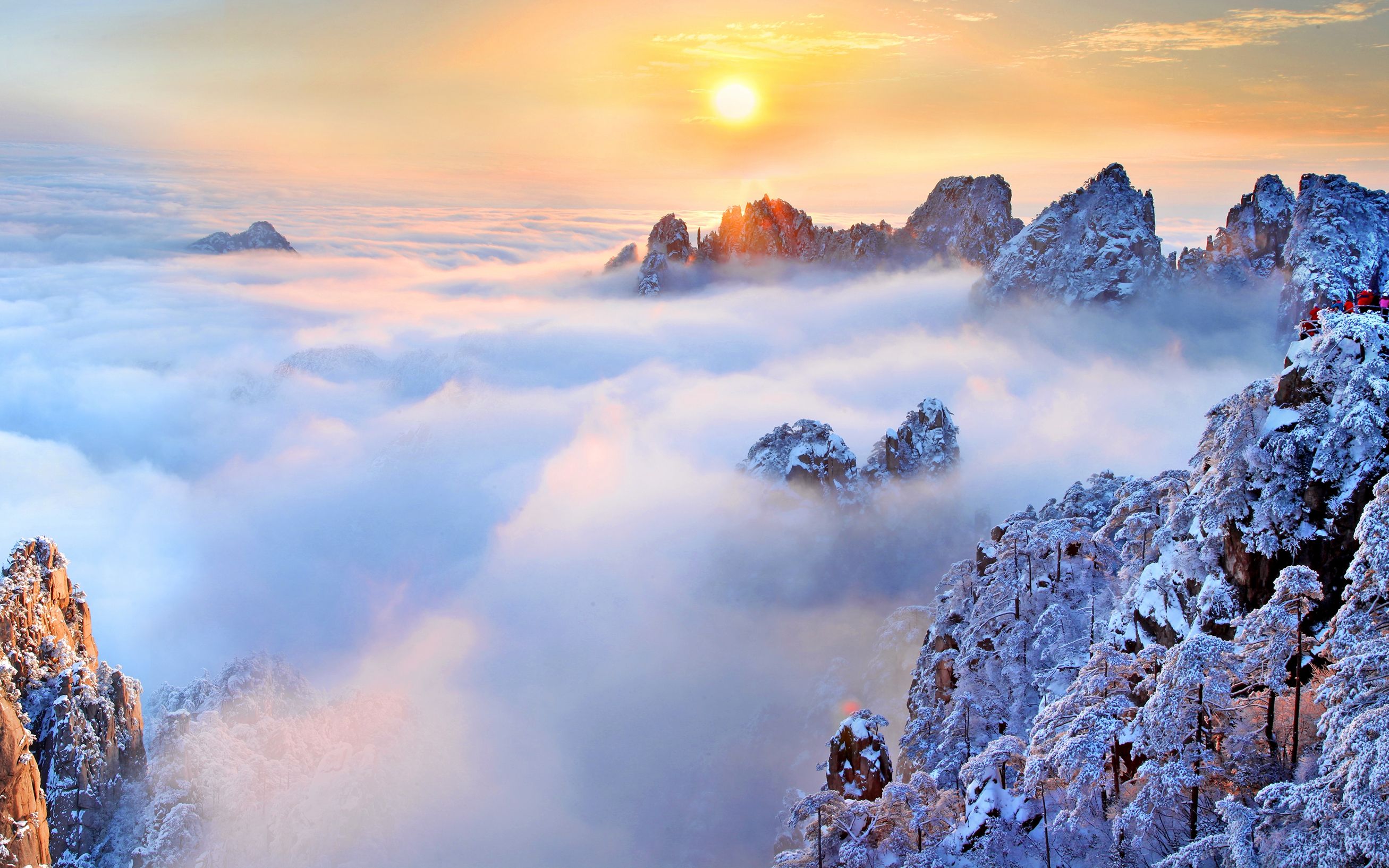 开春踏浪,约惠黄山!