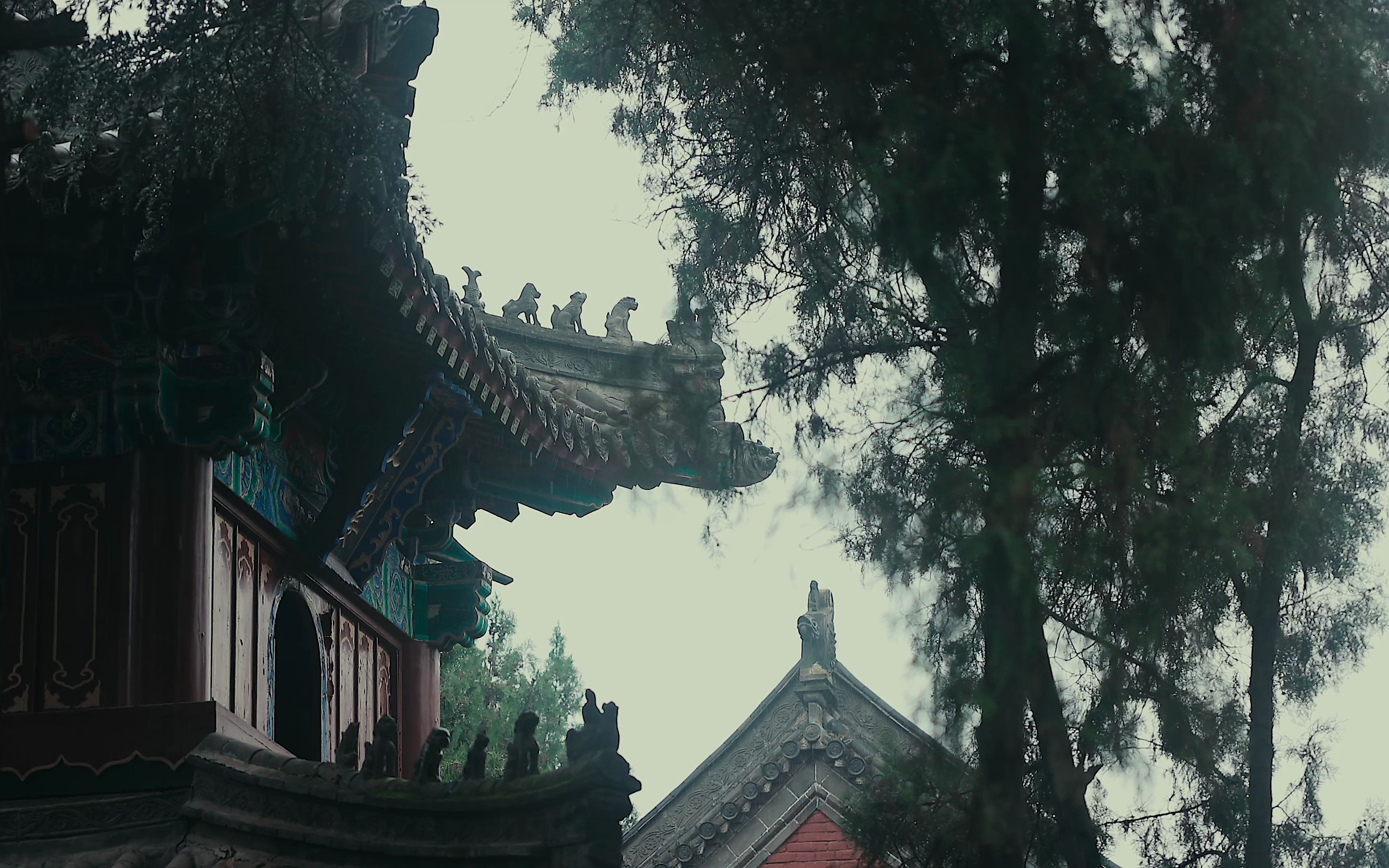 雨中白马寺