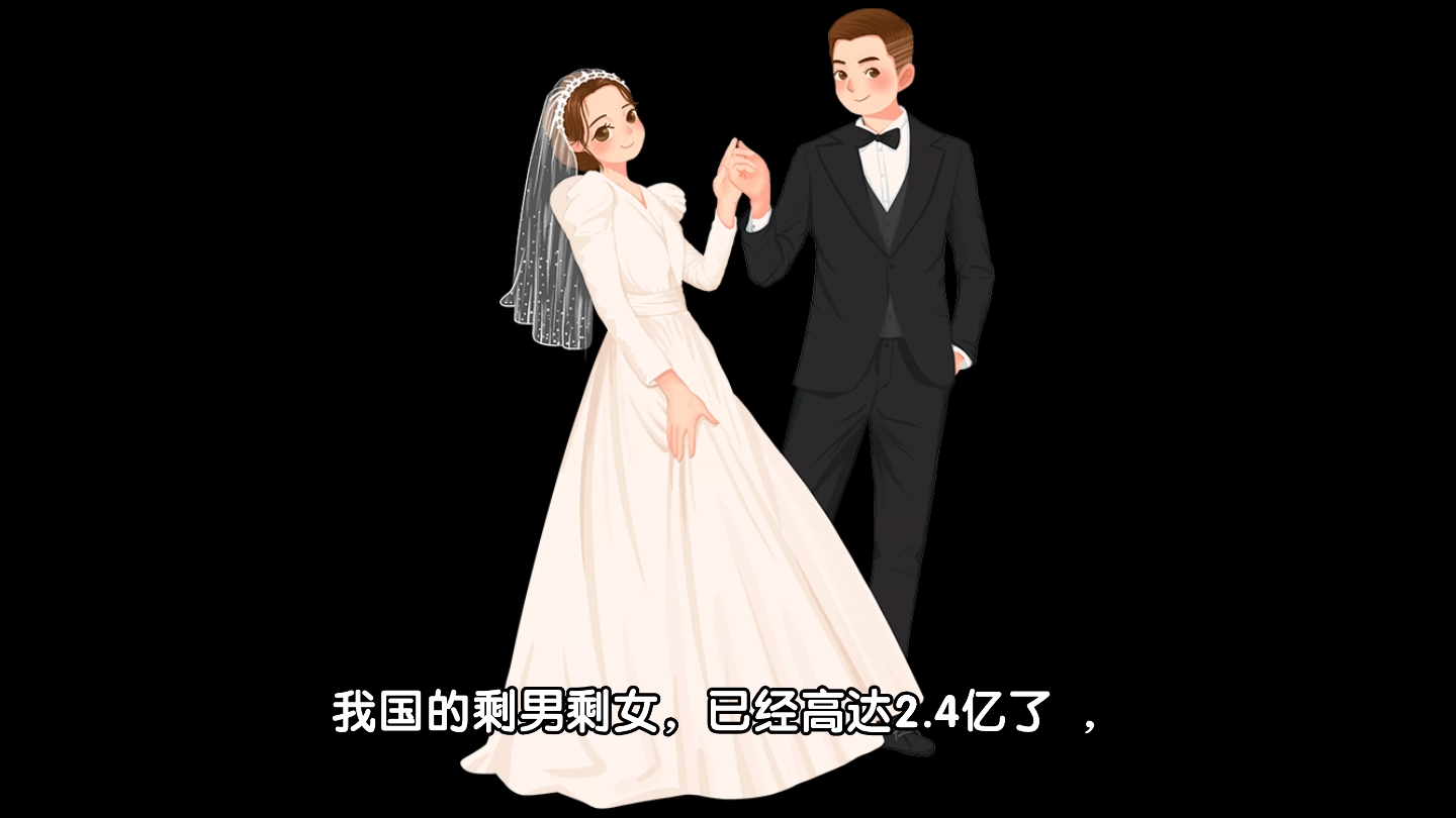 我国剩男剩女都有2.4亿人啦,怎么不结婚?哔哩哔哩bilibili